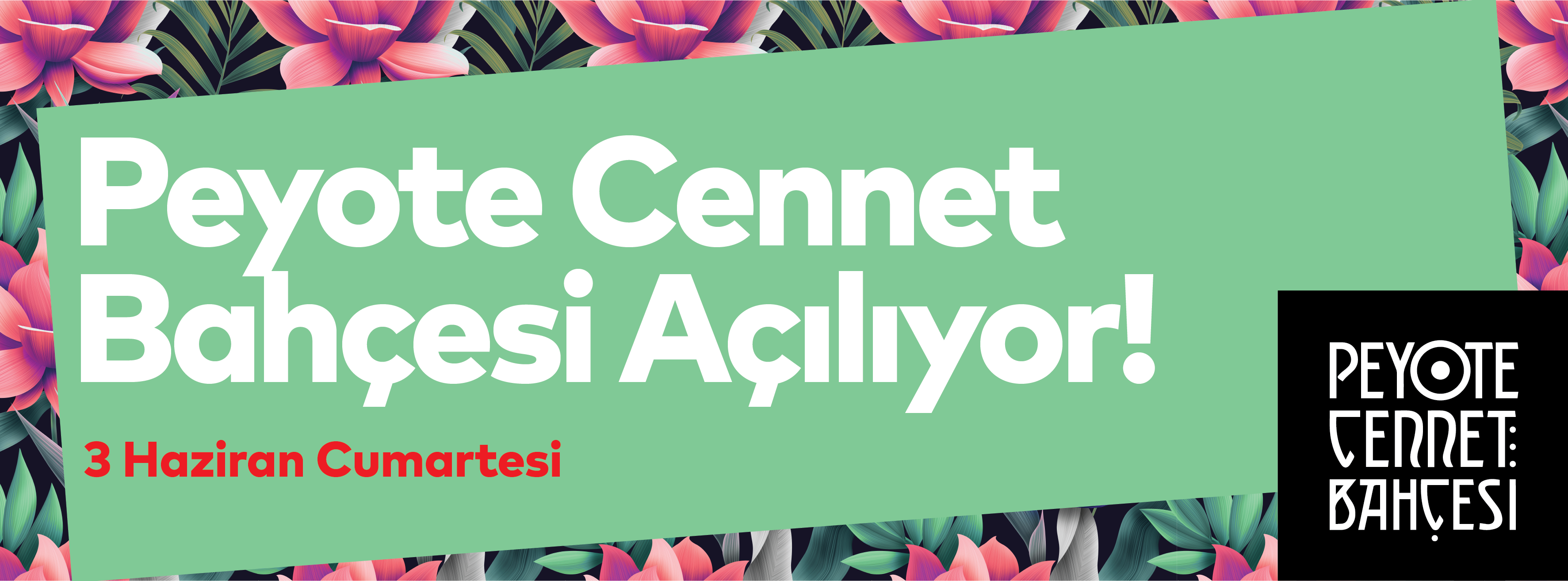 Peyote Cennet Bahçesi