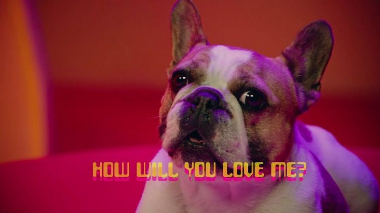 Panda Bear’dan French Bulldog’lu Yeni Video!